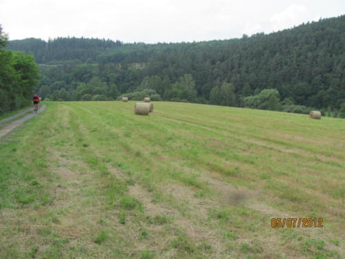 IMG 9386