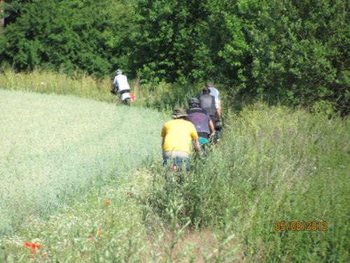 IMG 9392