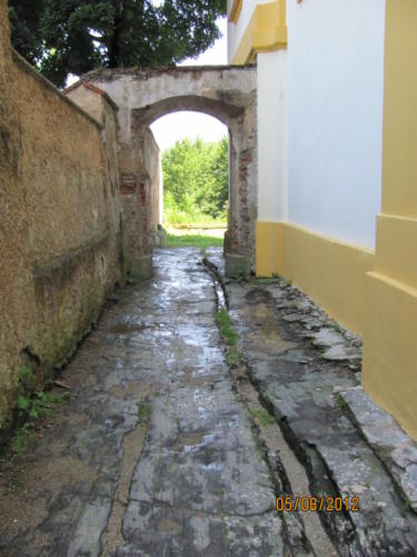 IMG 9399