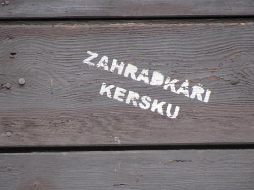 IMG 3275 - kopie - kopie