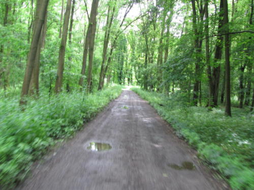 IMG 3284 - kopie - kopie