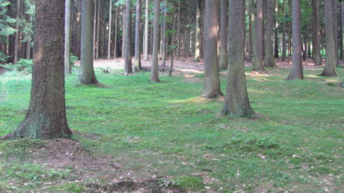 IMG 3365 - kopie