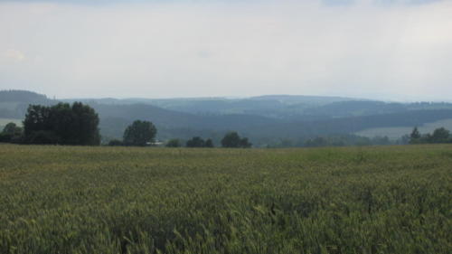 IMG 3369 - kopie