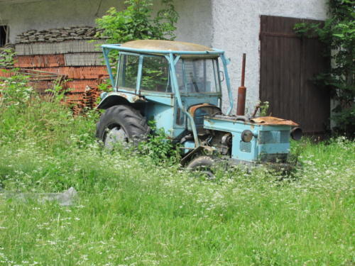 IMG 3400