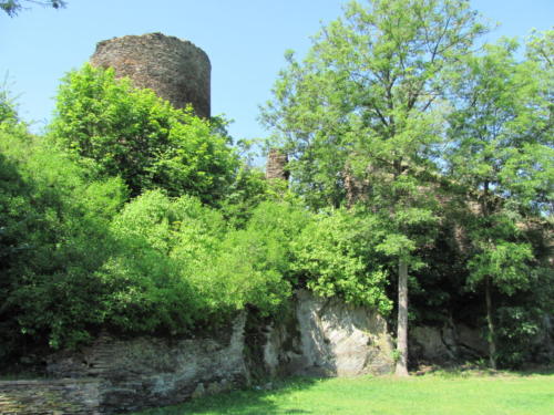 IMG 9413