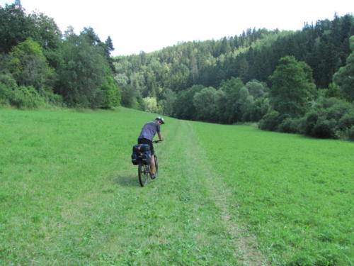 IMG 9420