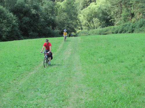 IMG 9421