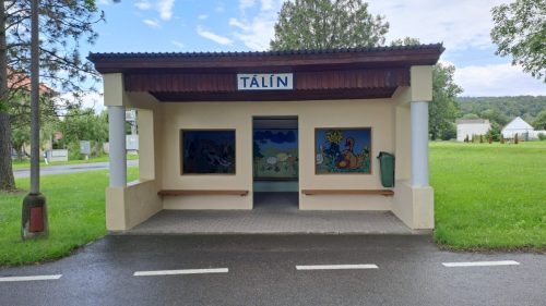 251